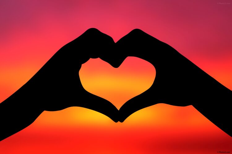 Everything You Need to Know About Love