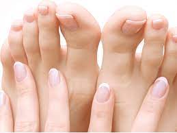 How To Use Snakeroot Extract For Toenail Fungus Treatment
