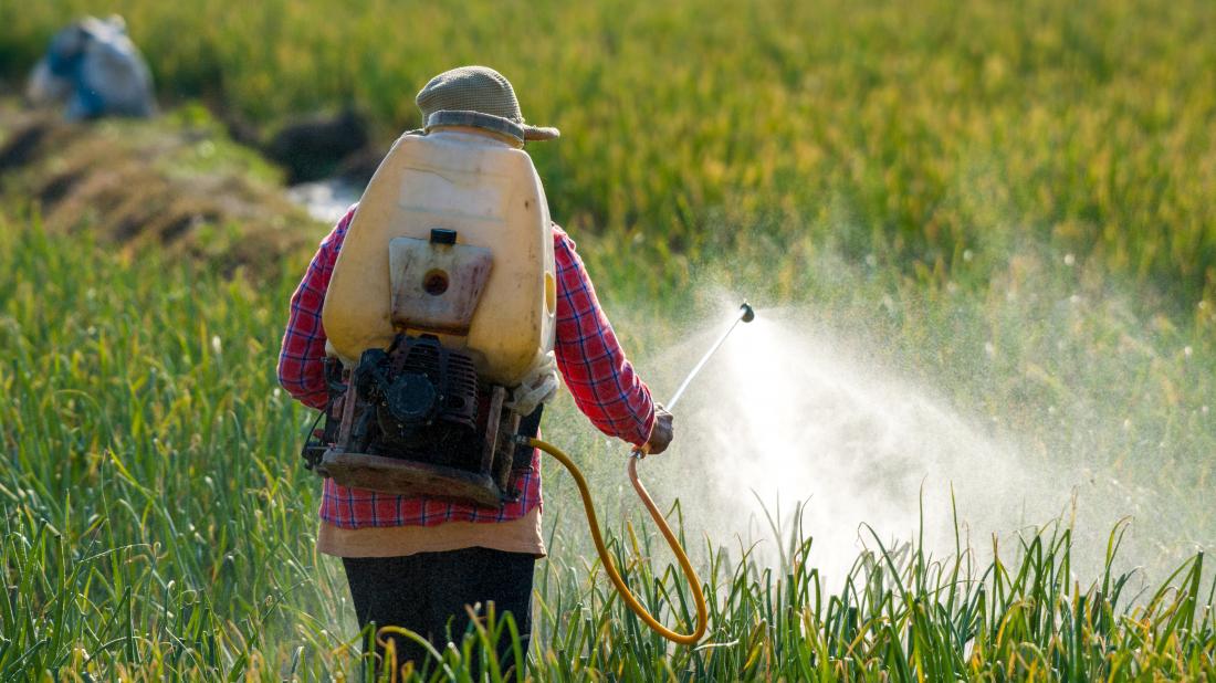 Harmful effect of pesticides on food