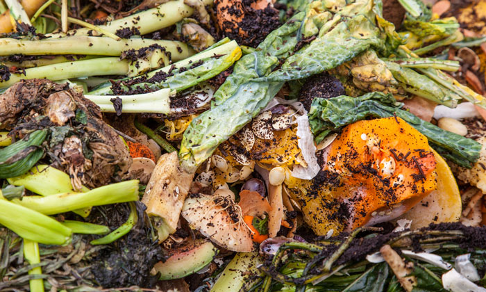 5 Ways Food Waste is Destroying Our Planet